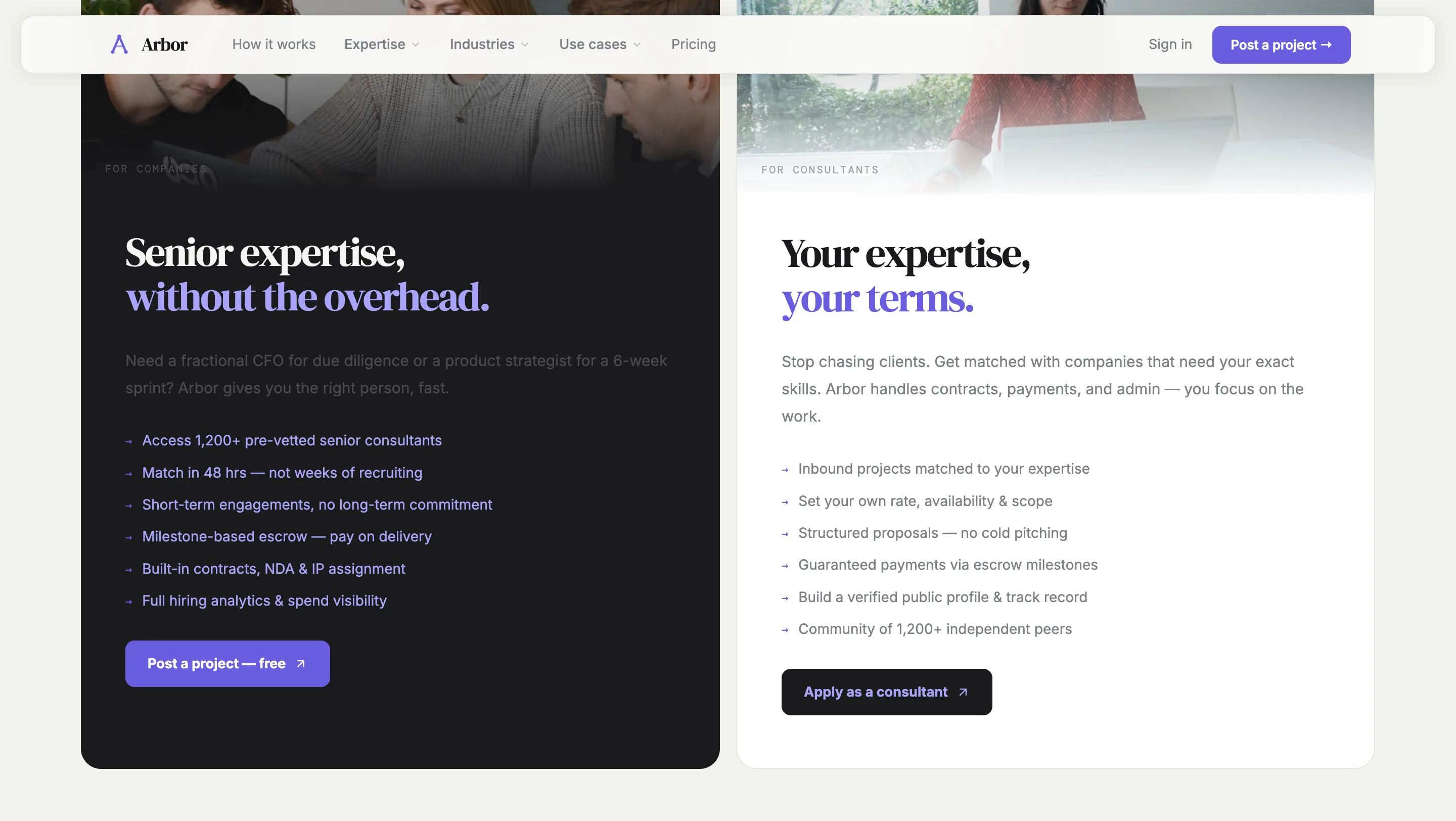 Arbor — экран 3