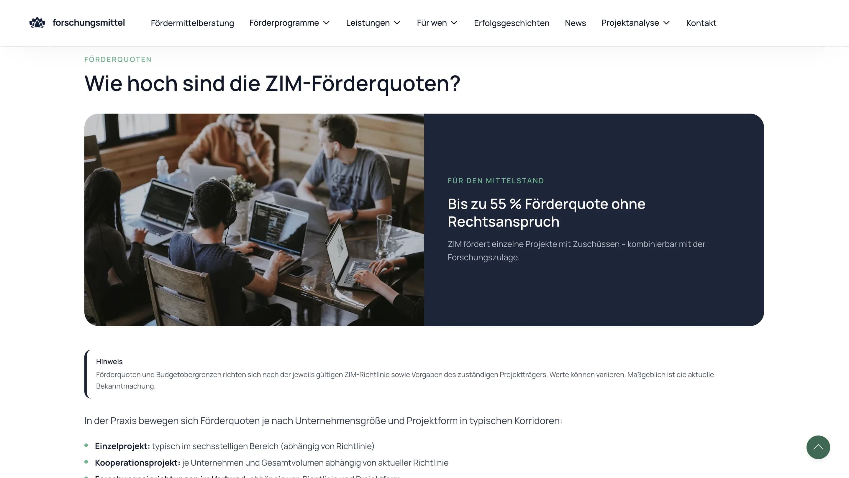 Экран публичного слоя Forschungsmittel 08